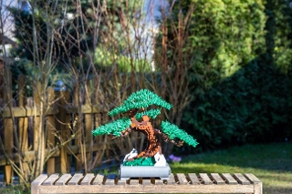 Bonsai Pine Tree from BrickLink Studio